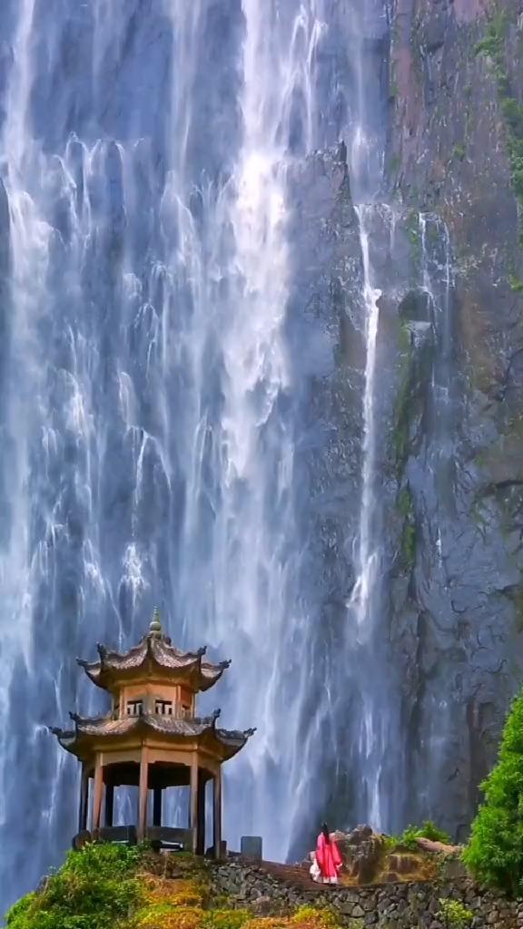 小长颈鹿逃离