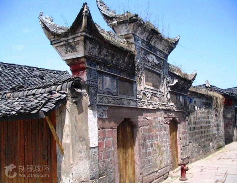 救援鹦鹉